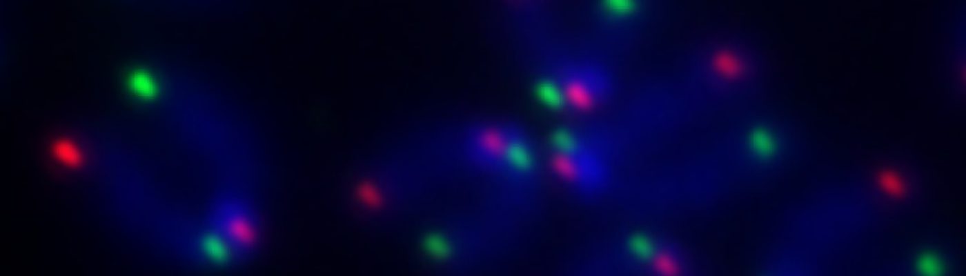 Hsueh-Ping Chu's Lab